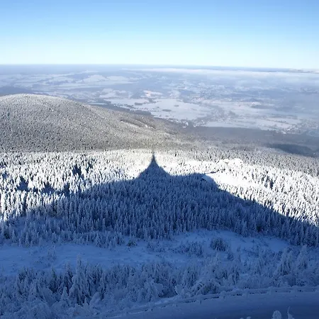 Jested Reichenberg
