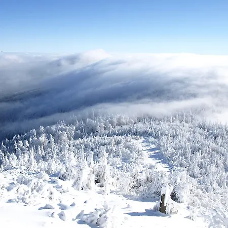 杰斯特德酒店 4*